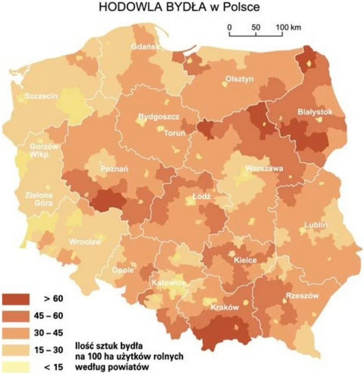 Mapa hodowli bydła w Polsce według powiatów
