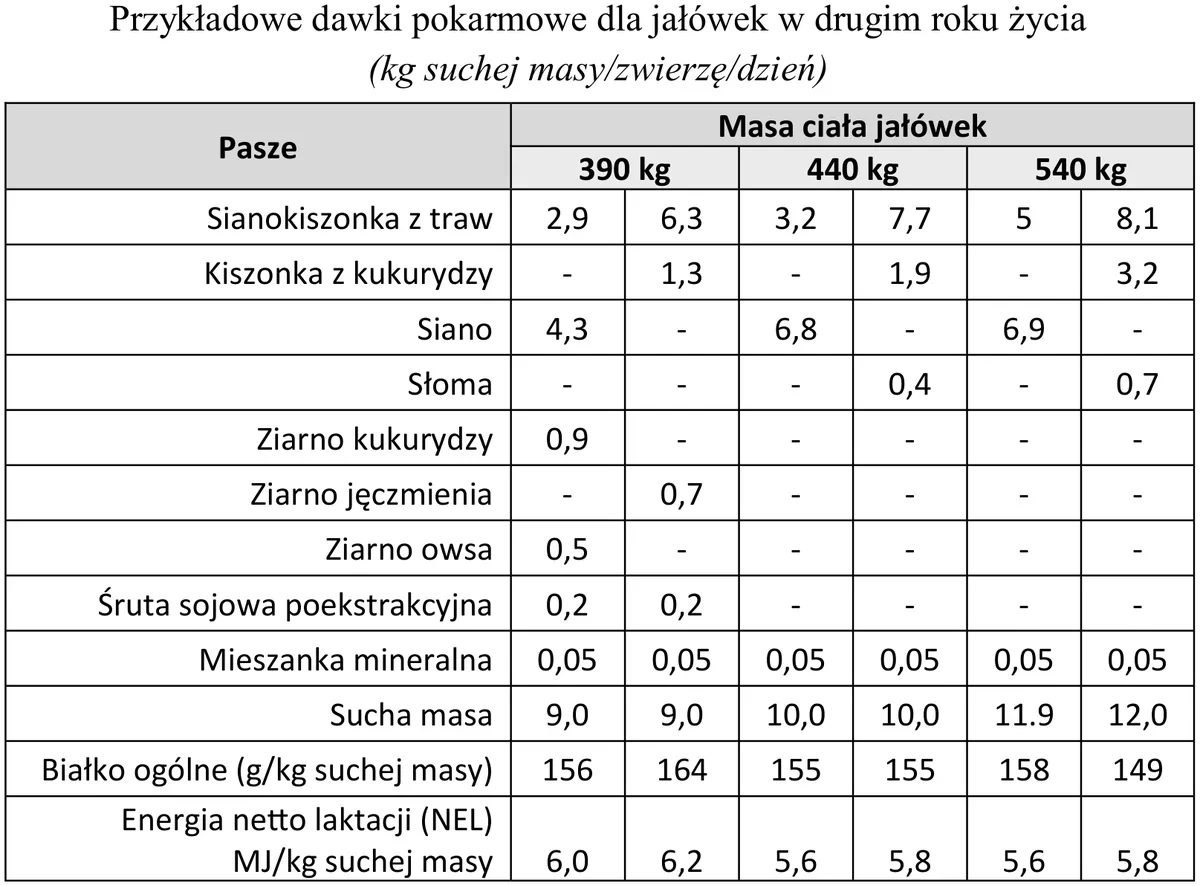 Tabela przykładowych dawek pokarmowych dla jałówek w drugim roku życia