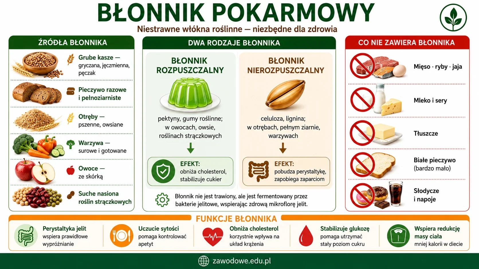 Infografika: błonnik pokarmowy — niestrawne włókna roślinne w grubych kaszach, otrębach, warzywach i owocach, dwa rodzaje (rozpuszczalny i nierozpuszczalny), funkcje w organizmie oraz rola w dietach klinicznych