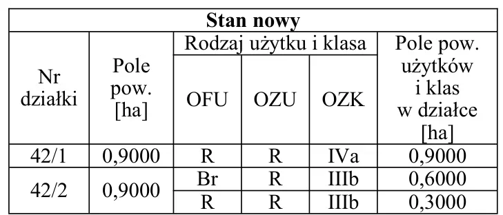Tabela D - zapis stanu nowego działek 42/1 i 42/2