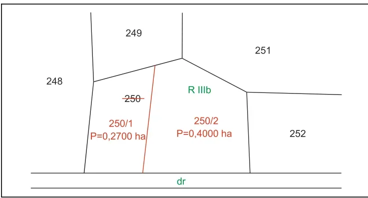 Szkic A - projekt podziału działki 250 na działki 250/1 i 250/2