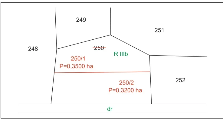 Szkic C - projekt podziału działki 250 na działki 250/1 i 250/2