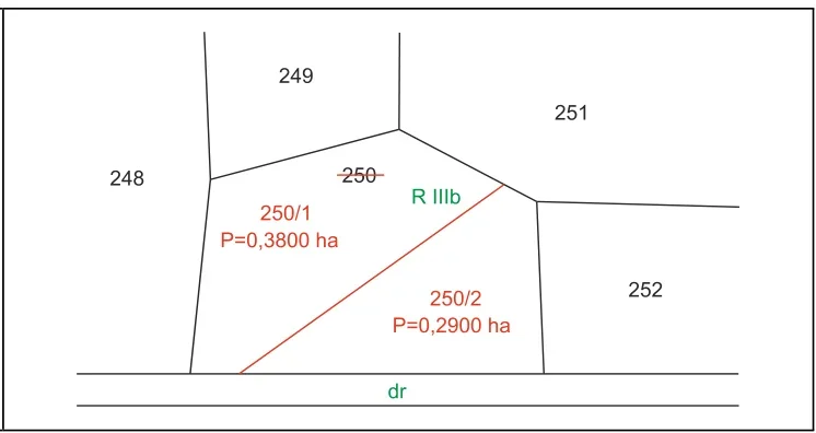 Szkic D - projekt podziału działki 250 na działki 250/1 i 250/2