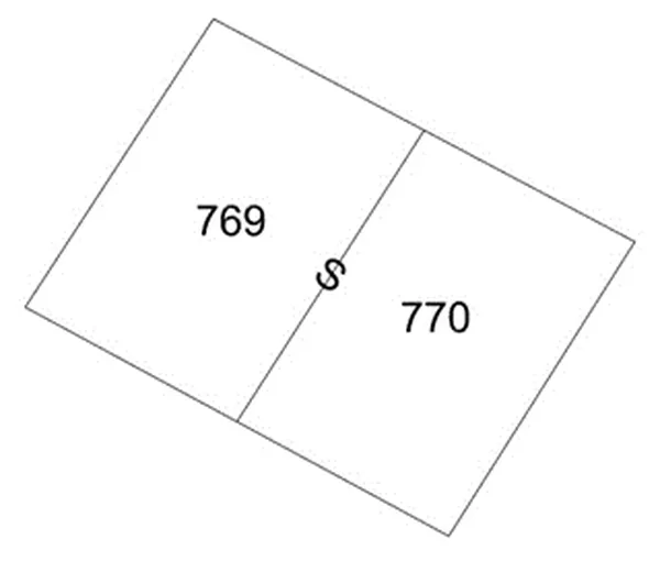 Dwie działki 769 i 770 z granicą między nimi oznaczoną symbolem S
