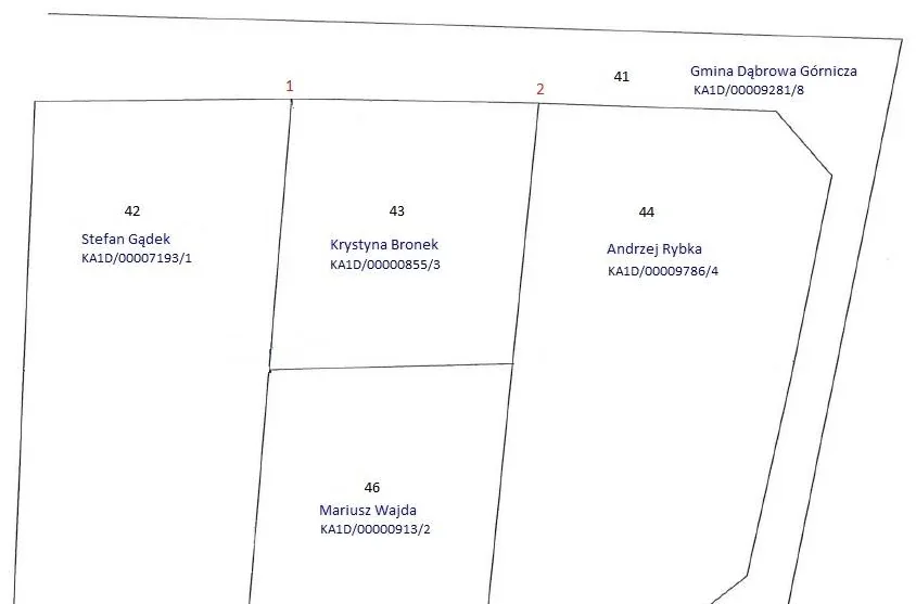 Szkic działek 41, 42, 43, 44 i 46 z punktami granicznymi 1 i 2, nazwiskami właścicieli i numerami ksiąg wieczystych