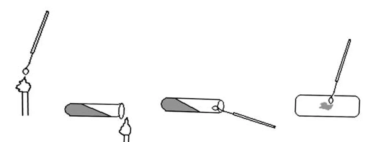 Ilustracja do pytania