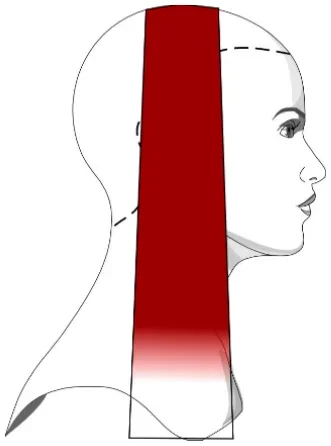 Ilustracja 2 - głowa z zaznaczonym pasmem włosów po odbarwieniu