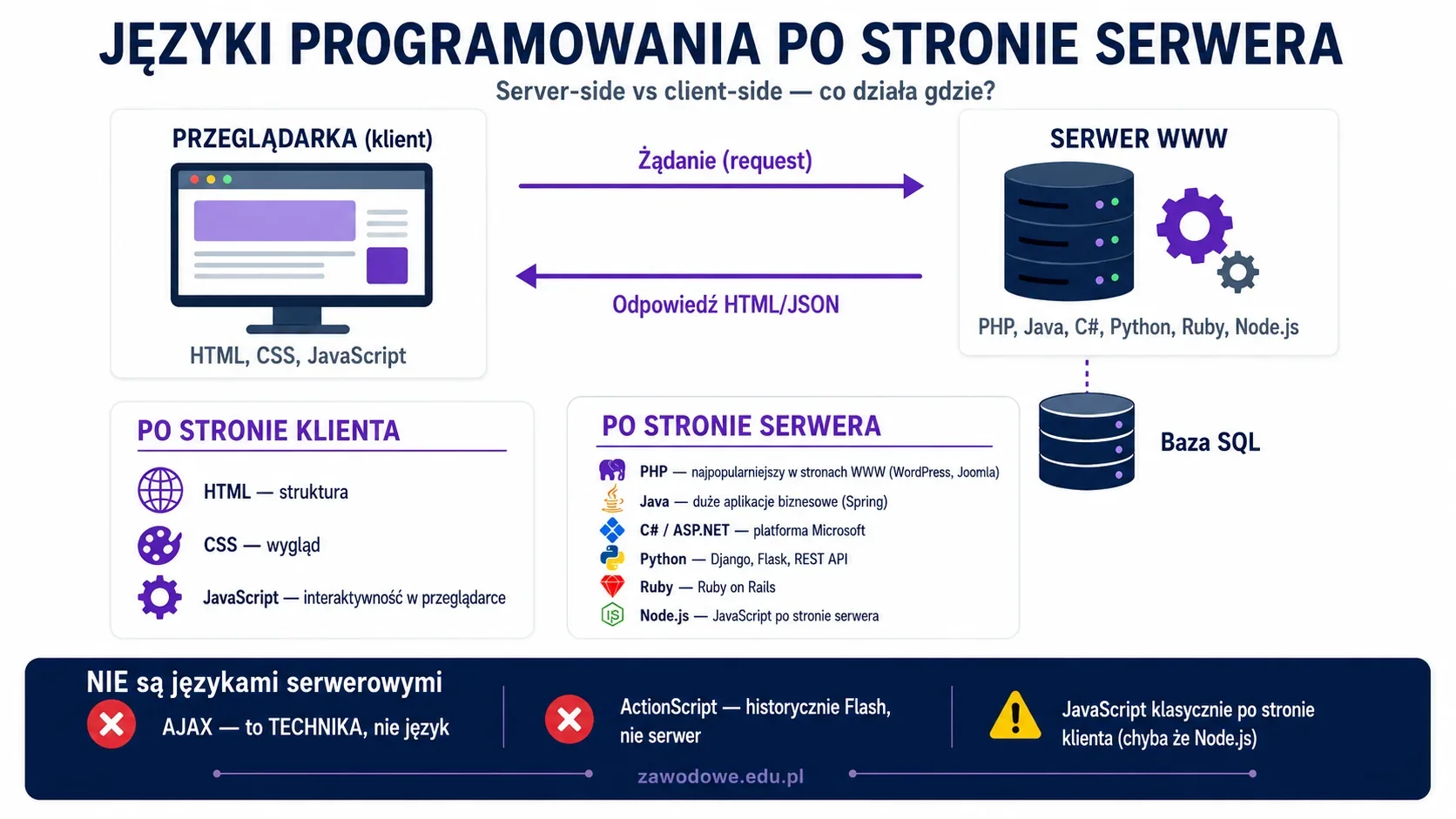 Infografika: języki programowania po stronie serwera — PHP, Java, C#, Python, Ruby i Node.js, porównanie server-side i client-side oraz typowe dystraktory (AJAX, ActionScript, HTML, CSS)