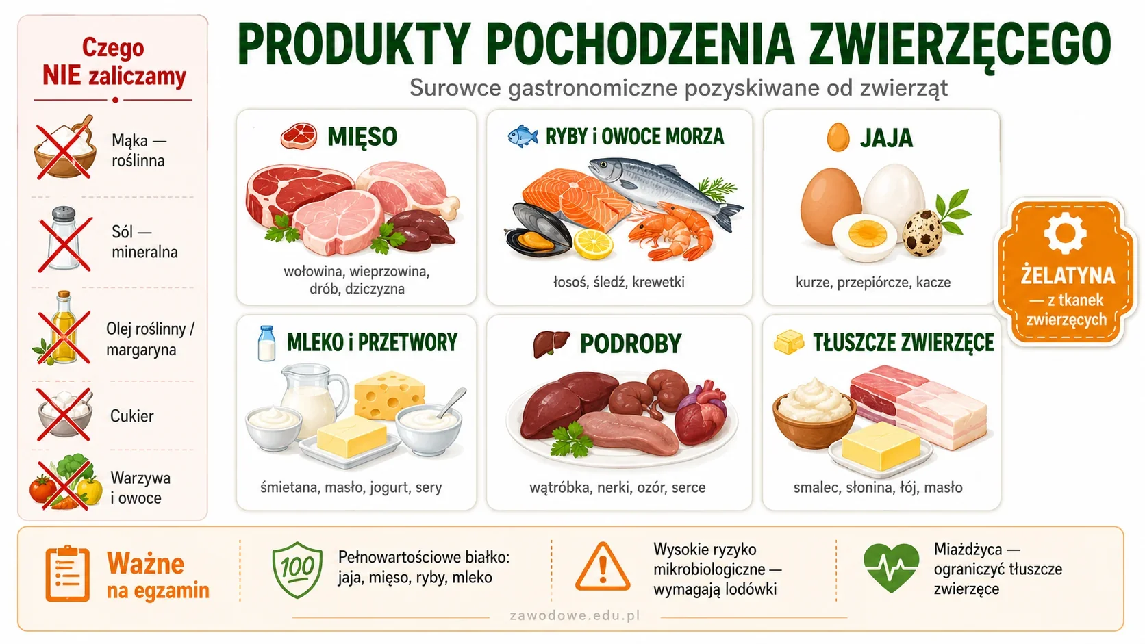 Infografika: produkty pochodzenia zwierzęcego — mięso, ryby, jaja, mleko i przetwory, podroby, tłuszcze zwierzęce i żelatyna oraz porównanie z produktami roślinnymi i mineralnymi (mąka, sól, oleje)