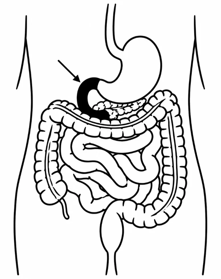 Ilustracja do pytania